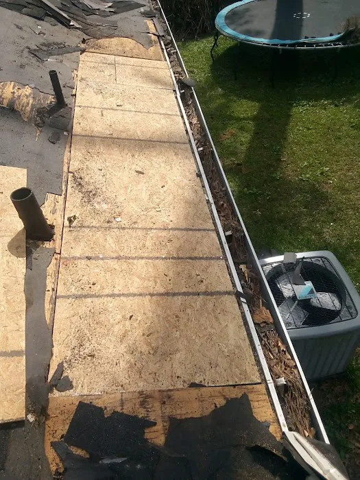 Avocado Roofing Picture 6