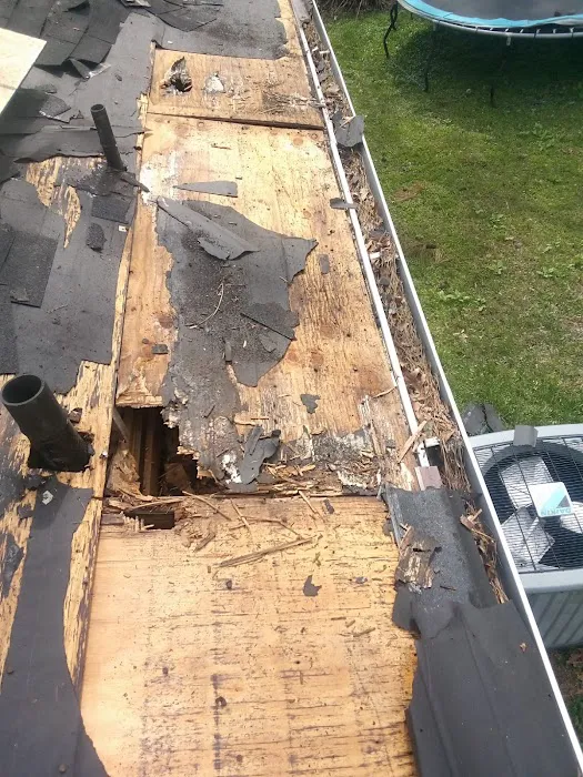 Avocado Roofing Picture 1