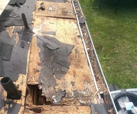 Avocado Roofing