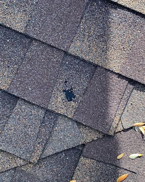 Urena Roofing & Contractor LLC Picture 9