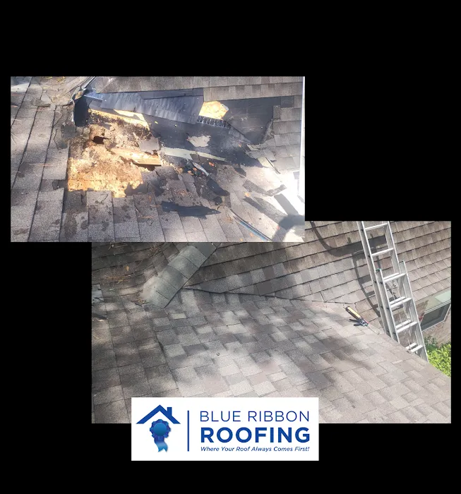 Blue Ribbon Roofing LLC Picture 8