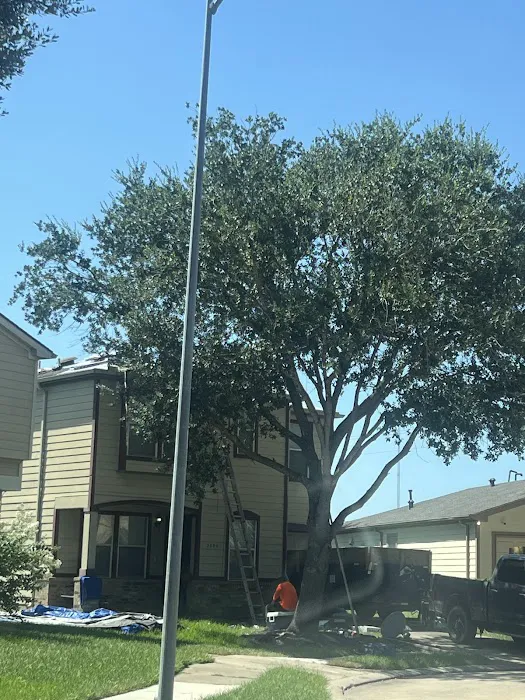 Asap Roof & Foundation Repair Picture 9