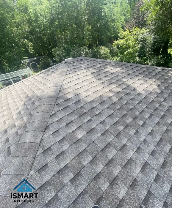 iSmart Roofing Picture 1