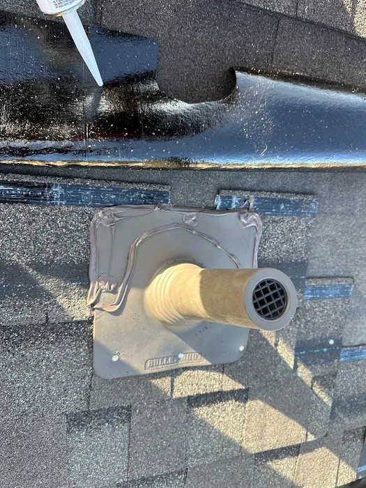 Roof Repair Services of Sienna Plantation Picture 4