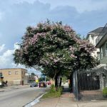 Kennedy Roofing & Exteriors