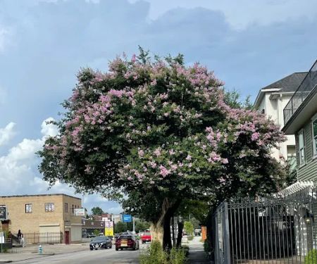 Kennedy Roofing & Exteriors