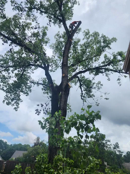 Orion's Rain Exteriors Picture 3