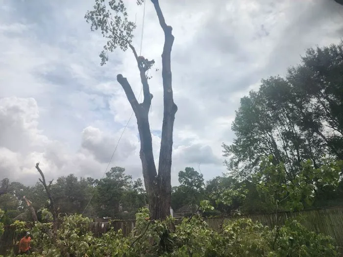 Orion's Rain Exteriors Picture 5