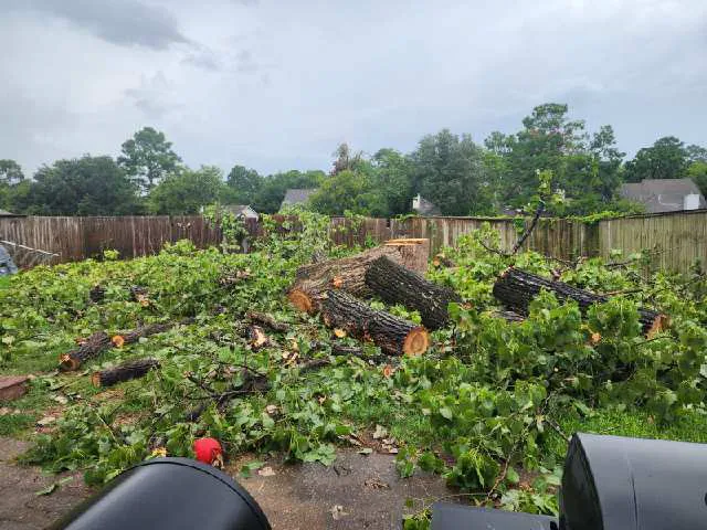 Orion's Rain Exteriors Picture 2