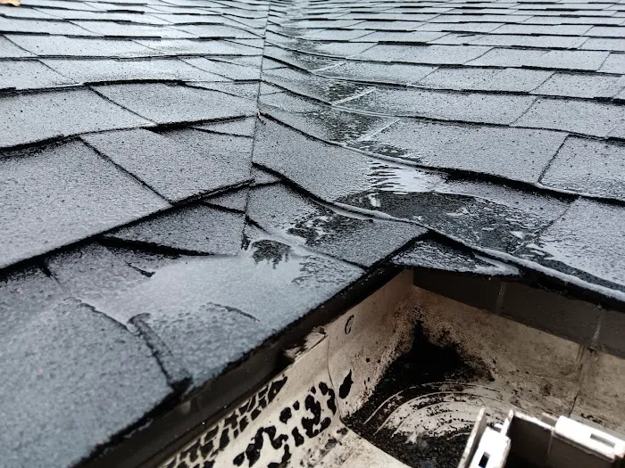 Ben Diaz Roofing Picture 7