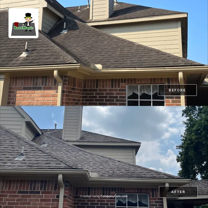 Texas Roof Magic Picture 4