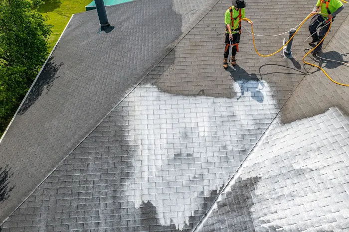 Texas Roof Magic Picture 6