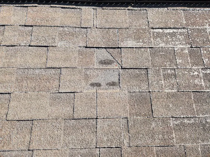 DG Roofing & Services Picture 8