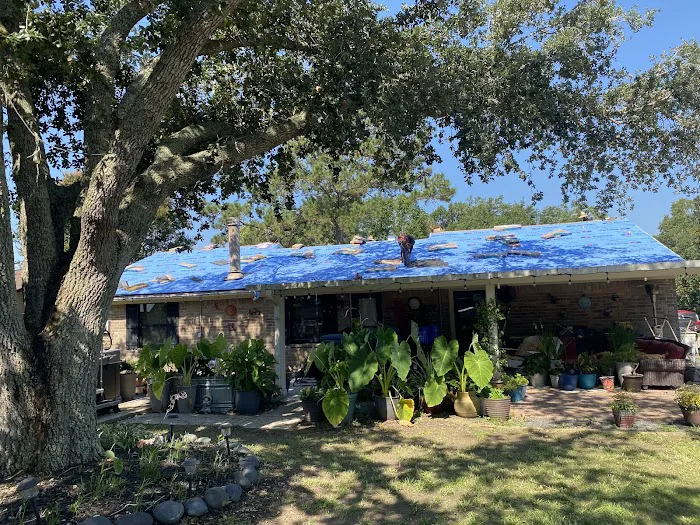 SSB Roofing Picture 6