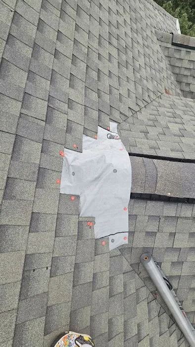 Mossible Solutions Picture 3