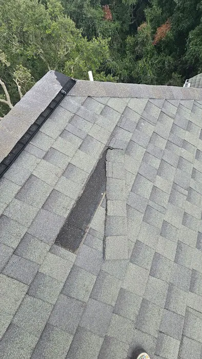 Mossible Solutions Picture 5