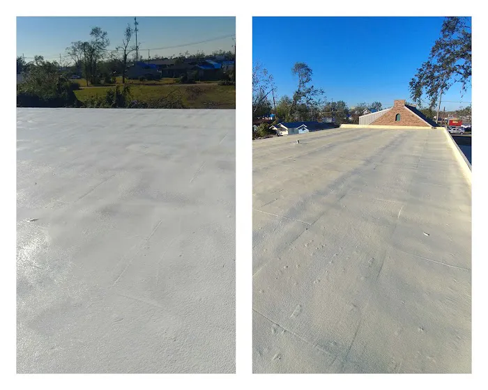 Halligan Foam Roof Coating Picture 2