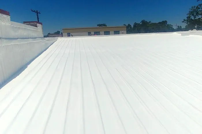 Halligan Foam Roof Coating Picture 3