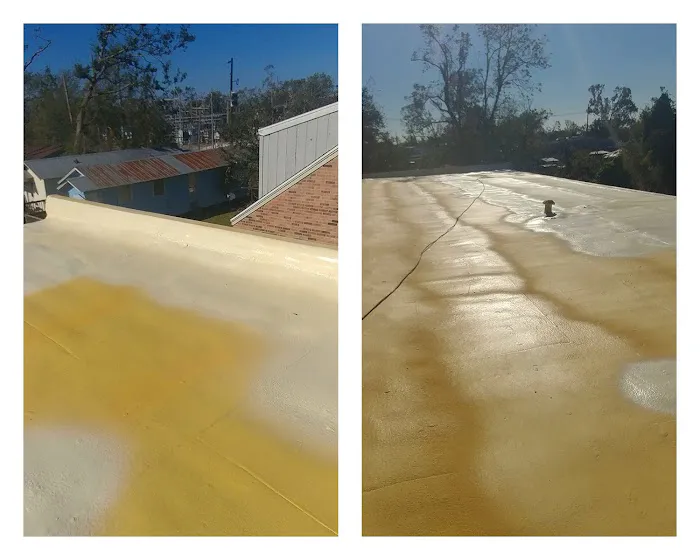 Halligan Foam Roof Coating Picture 1