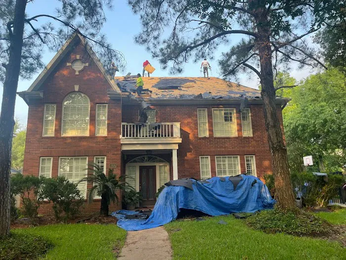 Pink Sunlight Picture 1