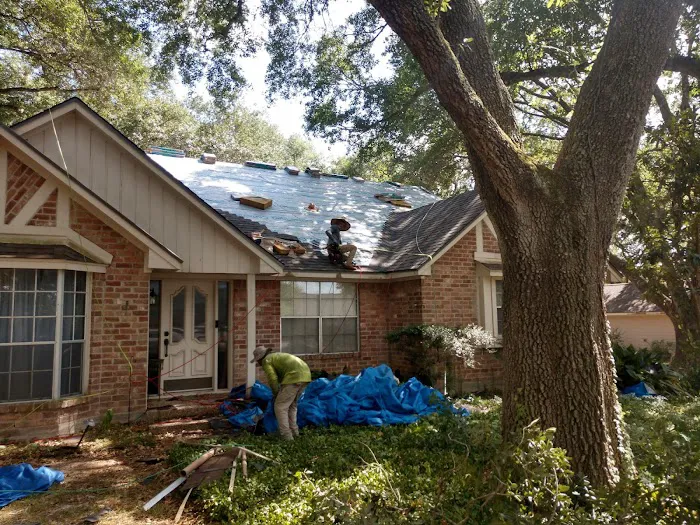 Doozy Roofs Picture 1