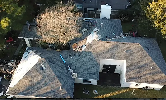 Doozy Roofs Picture 5