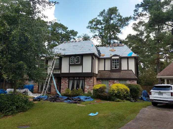 Doozy Roofs Picture 6