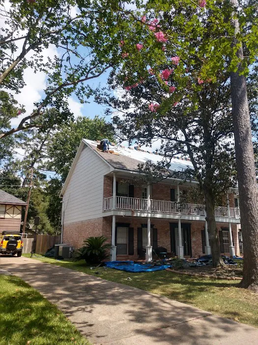 Doozy Roofs Picture 10