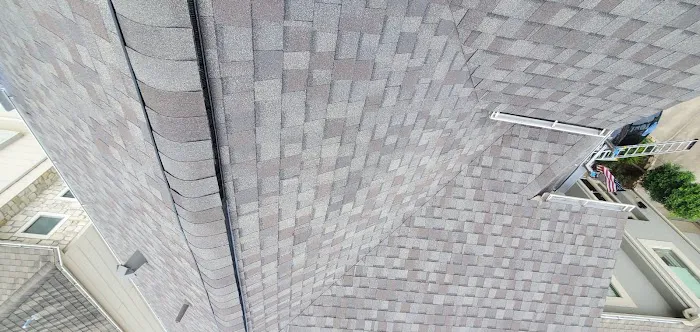 One Legacy United Picture 6