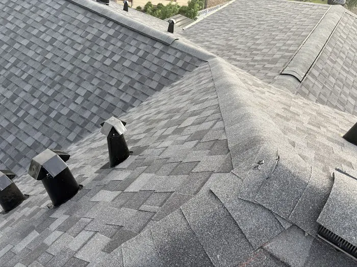 Moss Roofing Houston Picture 4