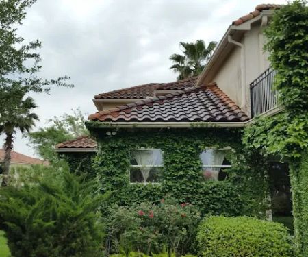 Texas Roofing & Gutters