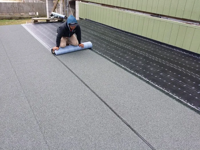 Best Roofing Texas Picture 3