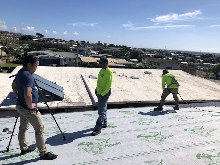 Blue Peak Roofing Spring Picture 3