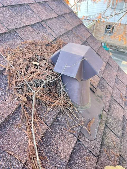 The Roof Guys Picture 4