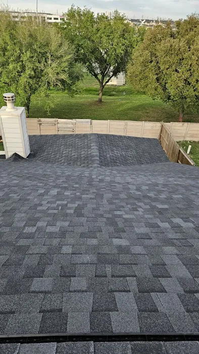 Platinum Roof Designs Picture 2