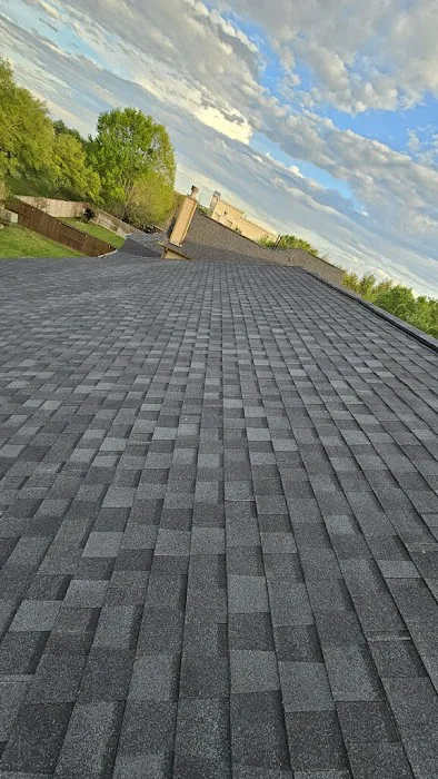 Platinum Roof Designs Picture 5