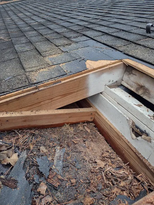 Kavac Group Roofing Picture 10