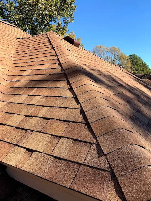 Local Canopy Picture 1