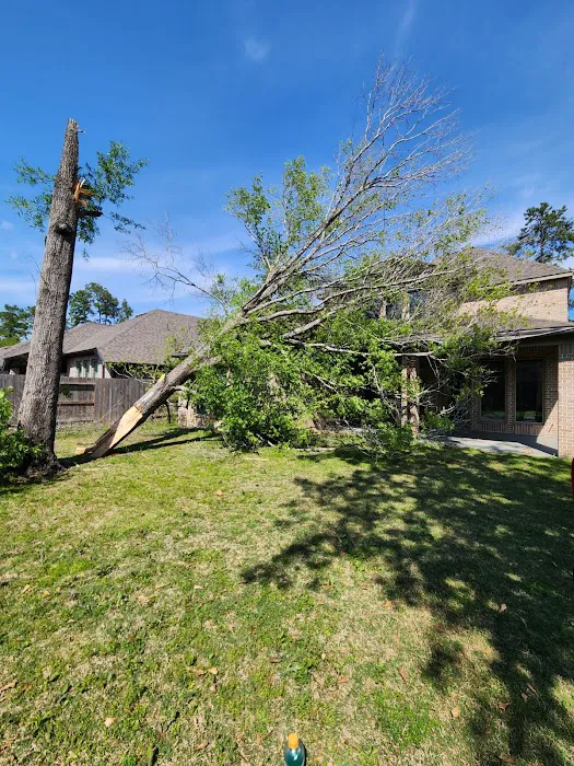 KoJo Roofing Picture 9