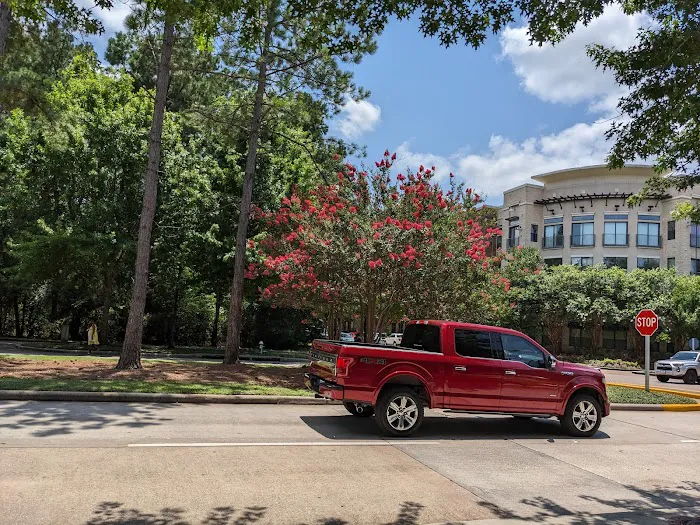 Apex Roofing Company The Woodlands Picture 1