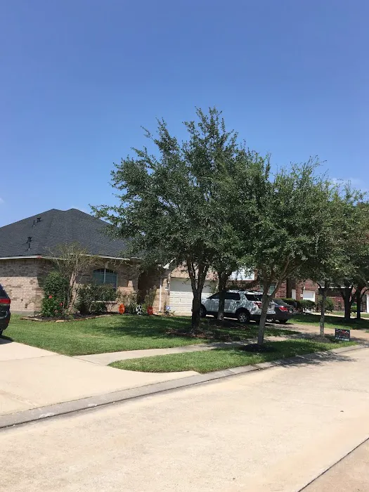 Cayne Roofing LLC Picture 6