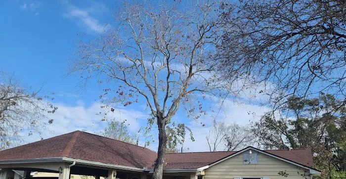 Texas Gold Roofing and More Picture 1