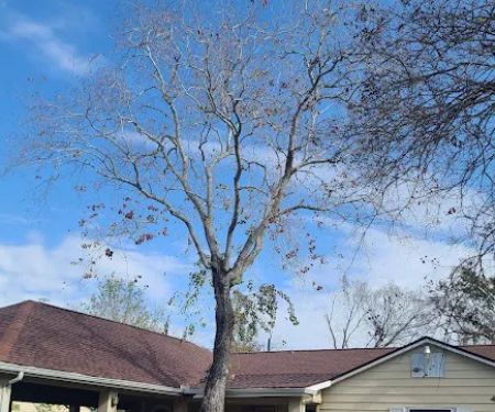 Texas Gold Roofing and More