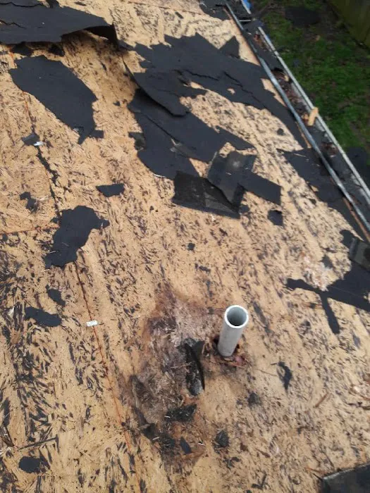 Pegasus Roofing & Construction Picture 6