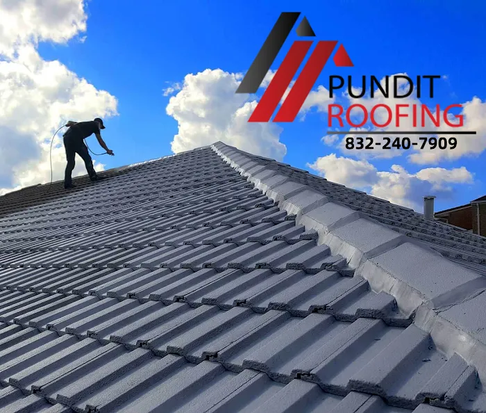 Pundit Roofing Picture 6