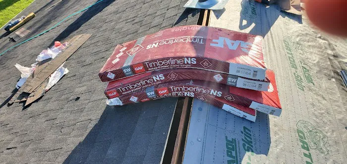 380 Platinum Roofing Picture 10