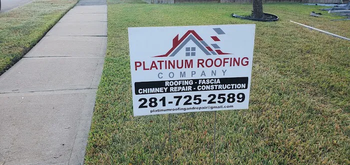 380 Platinum Roofing Picture 8