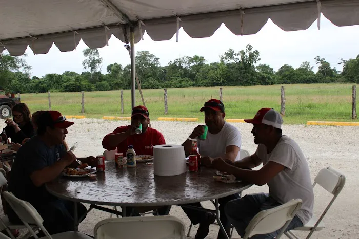 Schulte Roofing Picture 8