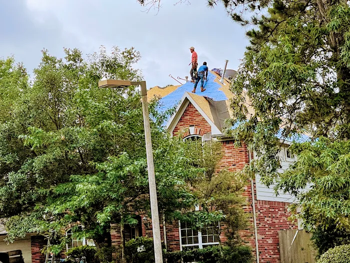 Roofy’s Roofs Picture 4