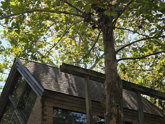 Adams Roofing, LLC Picture 10